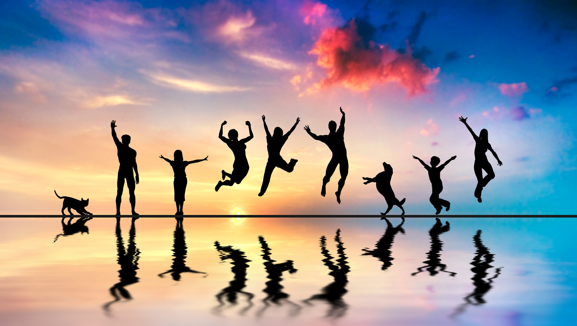 Happy friends, family with dog and cat jumping at sunset